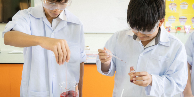 The Secondary Curriculum at Norwich - An essential part of exploring children's own expertise 诺维奇的中学课程：发掘孩子自身专长的重要环节